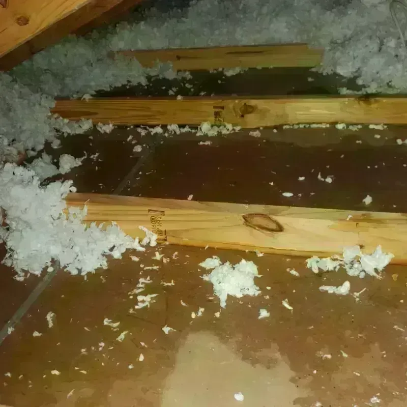 Attic Water Damage in Tecumseh, OK