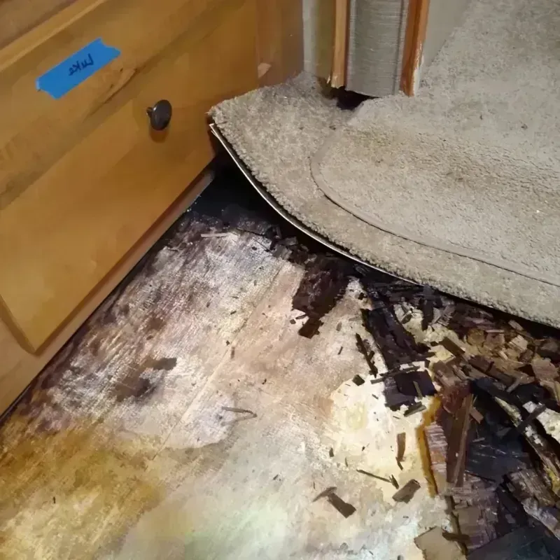 Best Wood Floor Water Damage Service in Tecumseh, OK